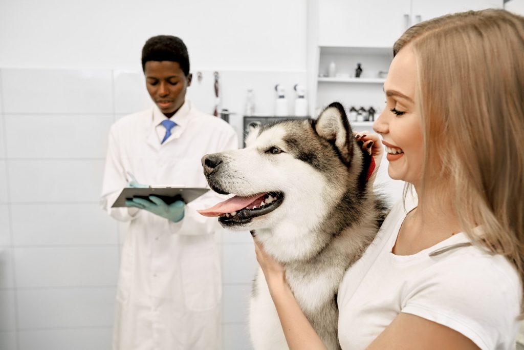 Beautiful women with her dog in vet clinic